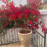 Sevinc Akasya Luxury Villa Milas