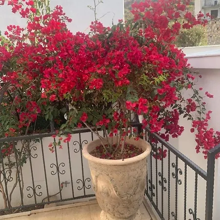 Sevinc Akasya Luxury Vilă Milas